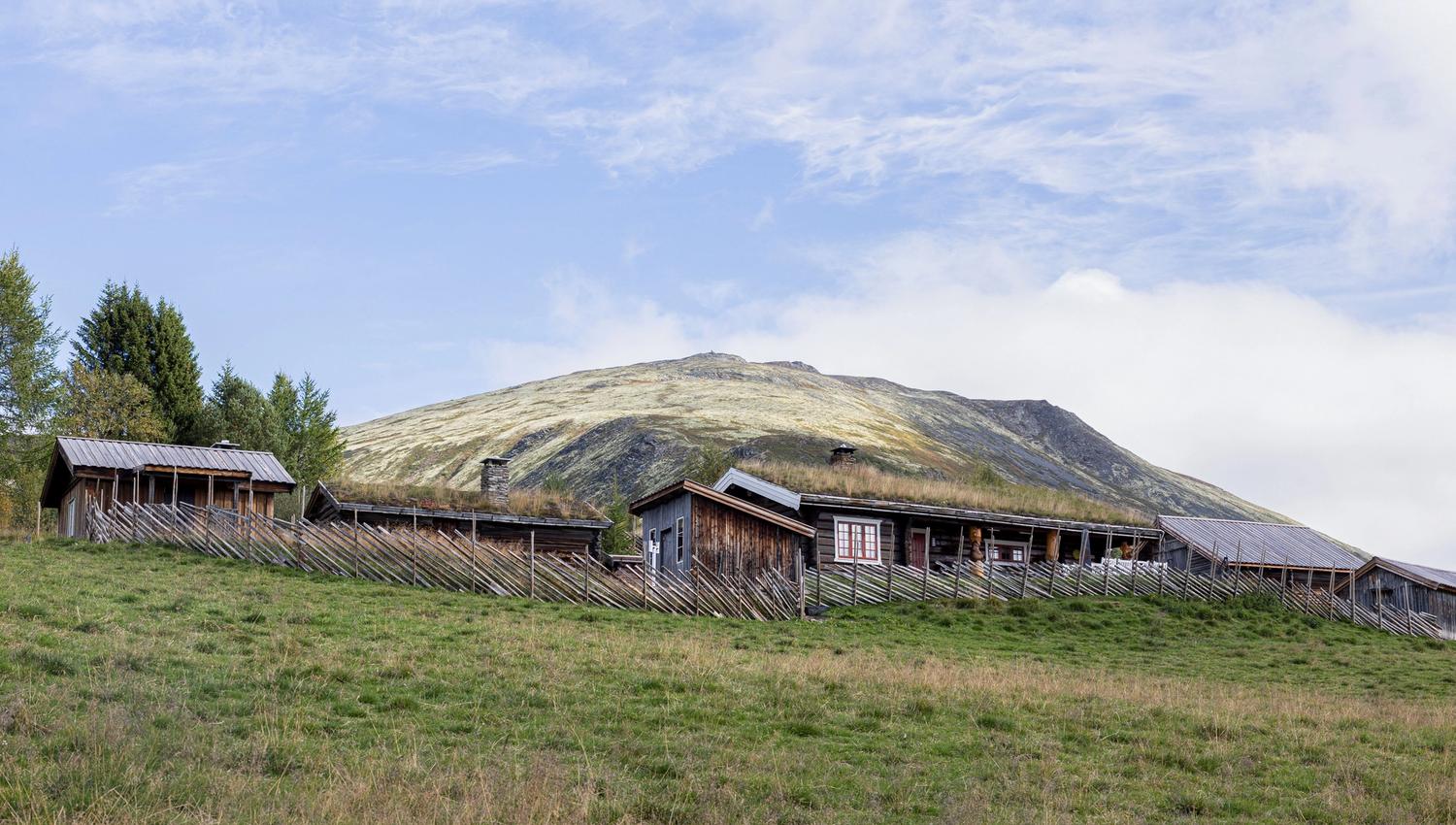 Tronfjellet_Foto_Kari Sivertsen Haugen 1