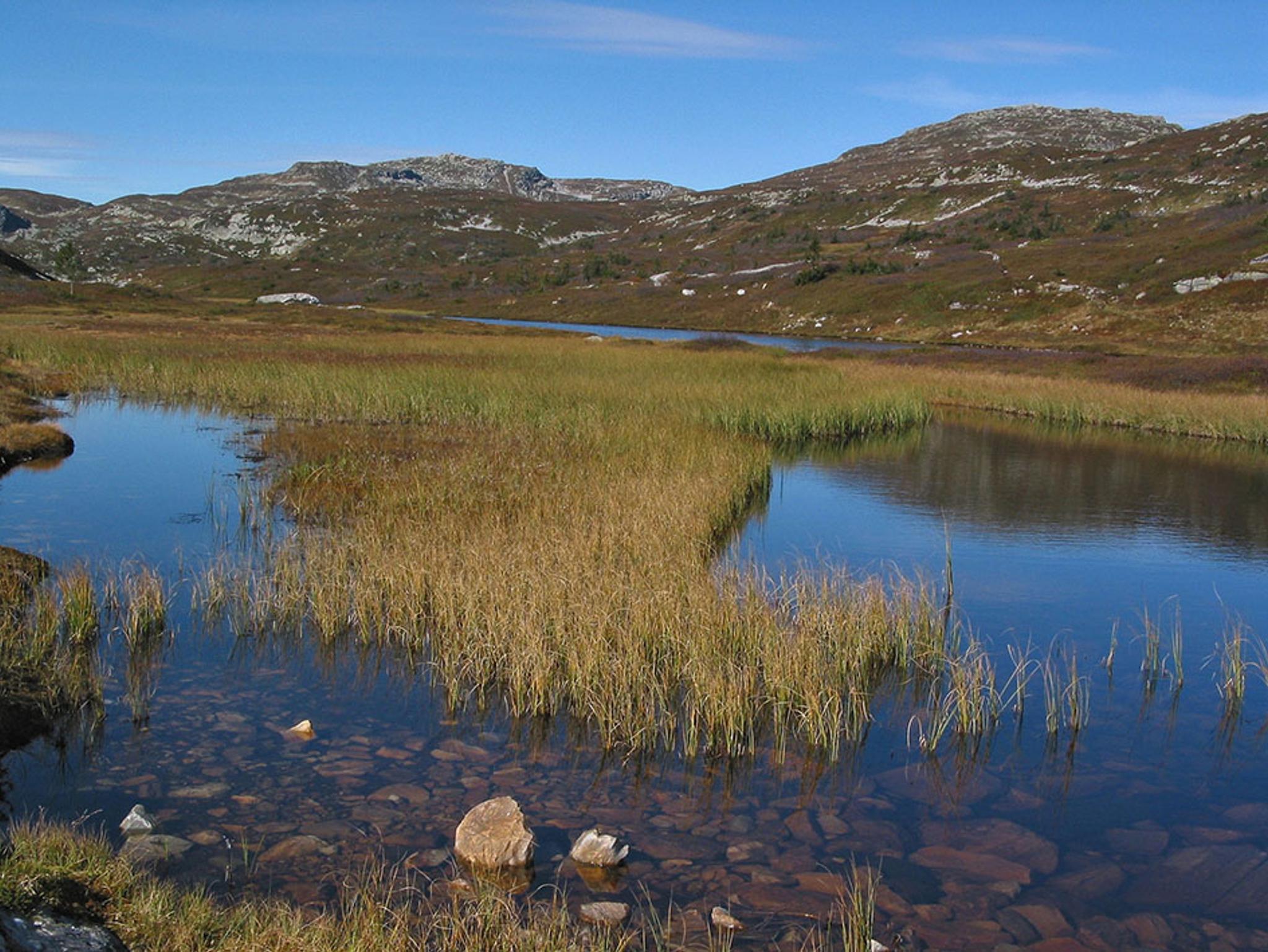 Røksbu og Jøronnatten