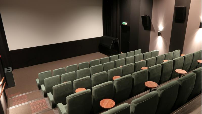 USF-5-cinema