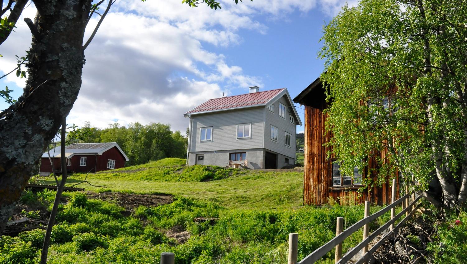 Leveld kunstnartun