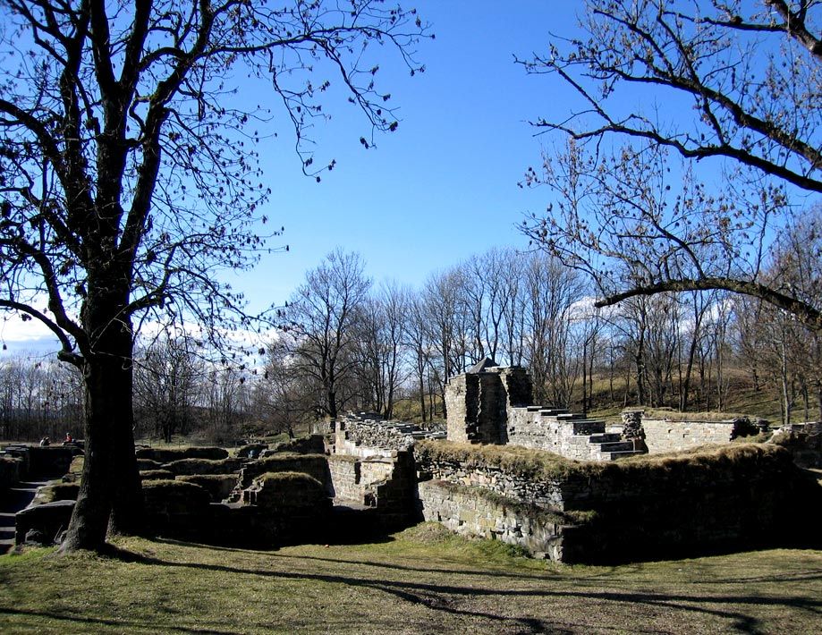 The ruins surrounded by trees.