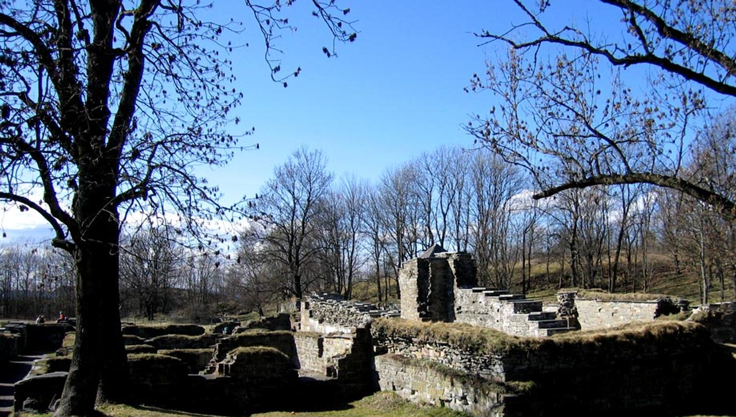 The ruins surrounded by trees.