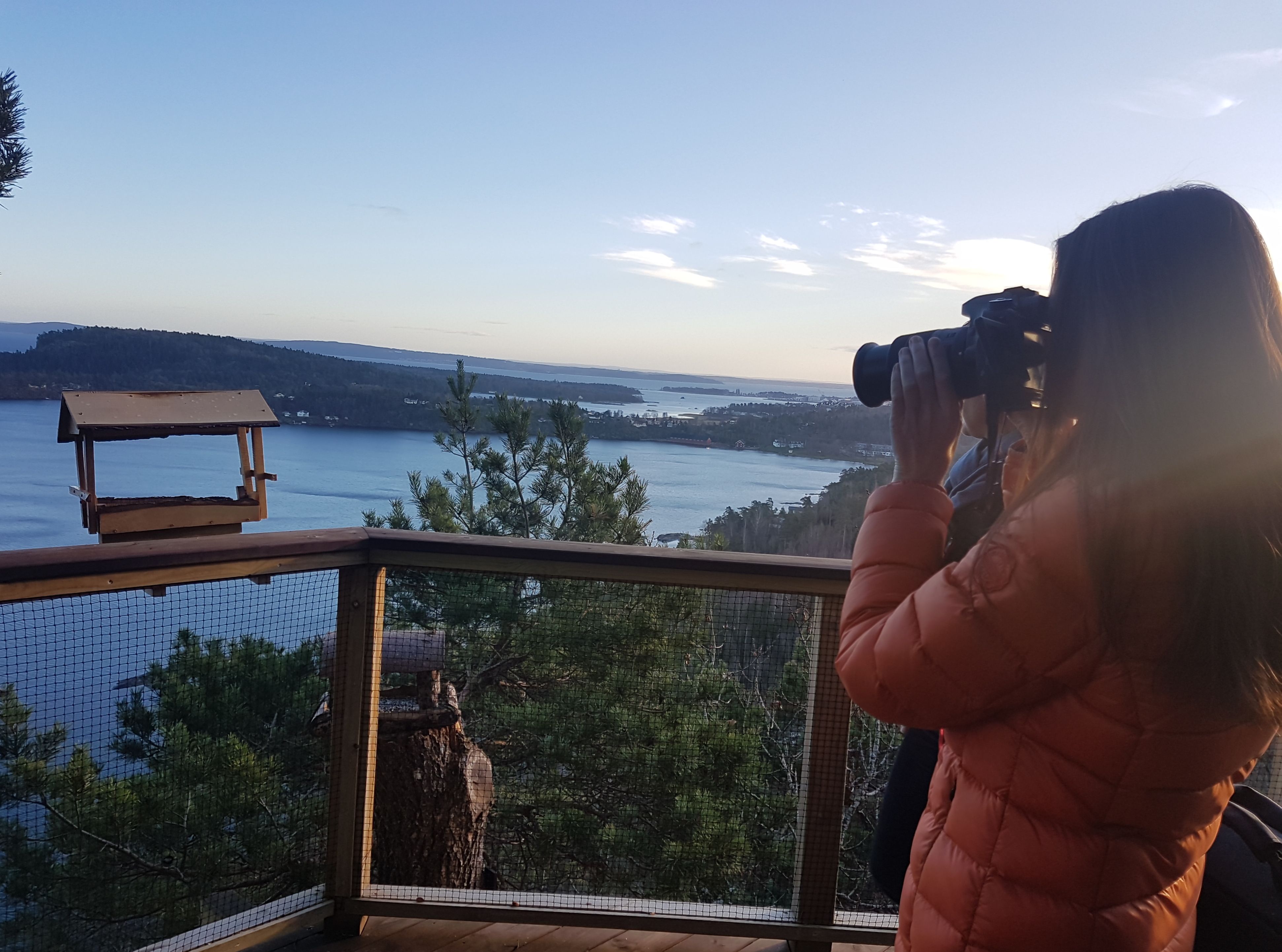 Overview of the natural surroundings