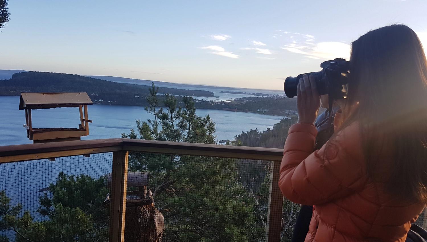 Overview of the natural surroundings