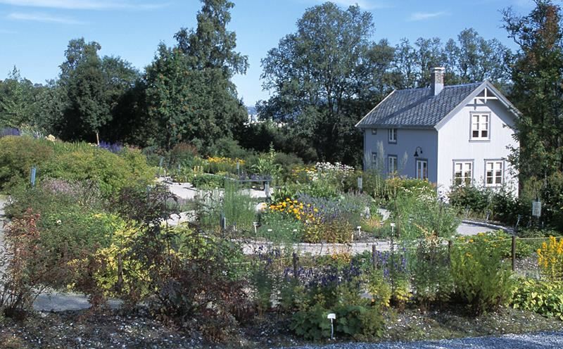 Tromsø Arctic-Alpine Botanical Garden