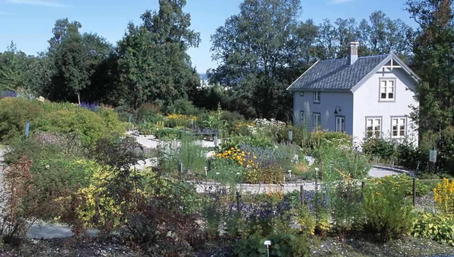Tromsø Arctic-Alpine Botanical Garden