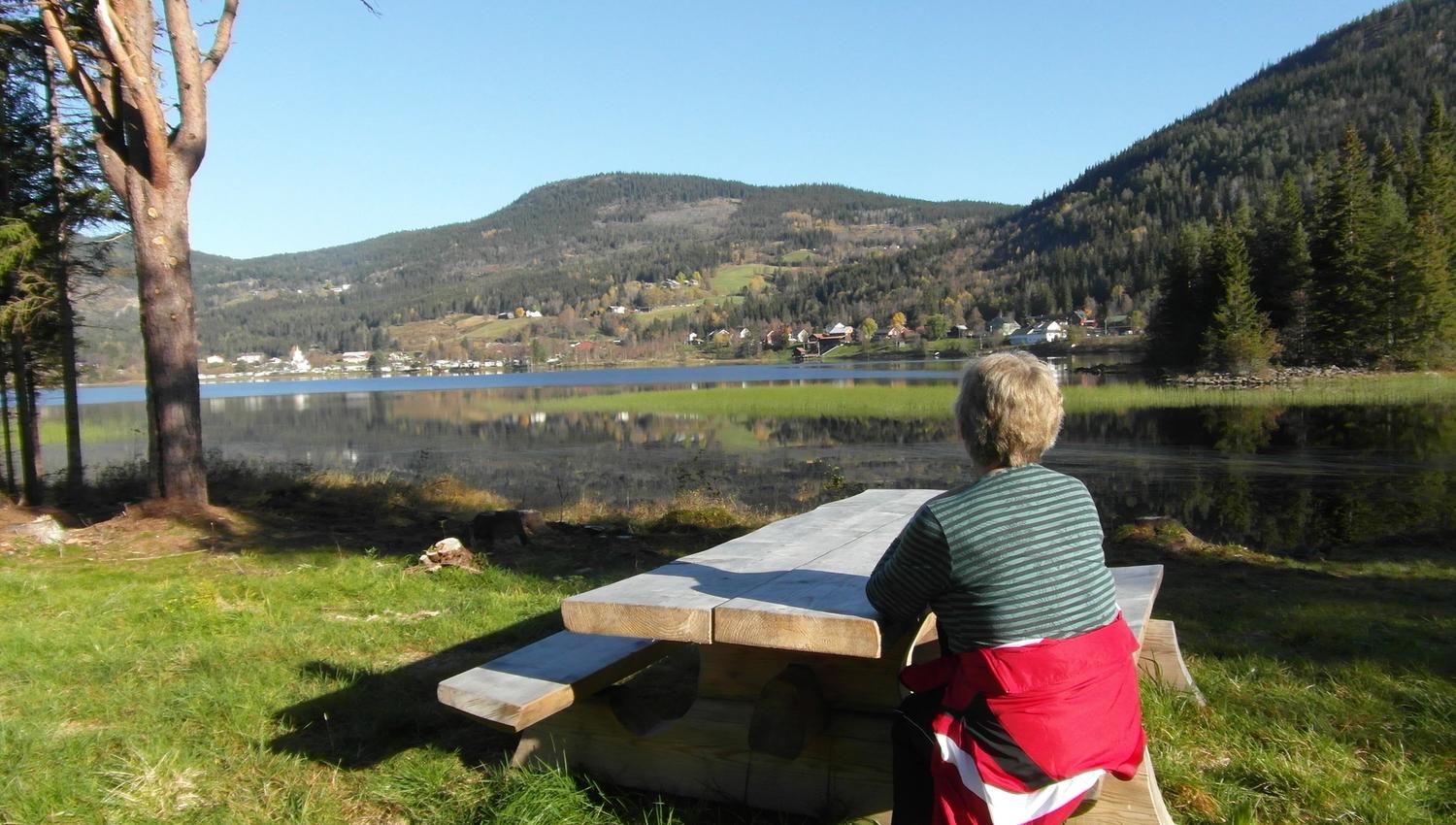 Bjårvatn rundt