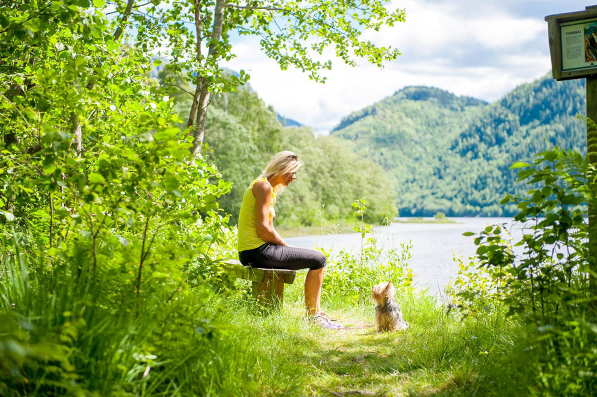 Lady sitting on a bench with a small dog in front of her