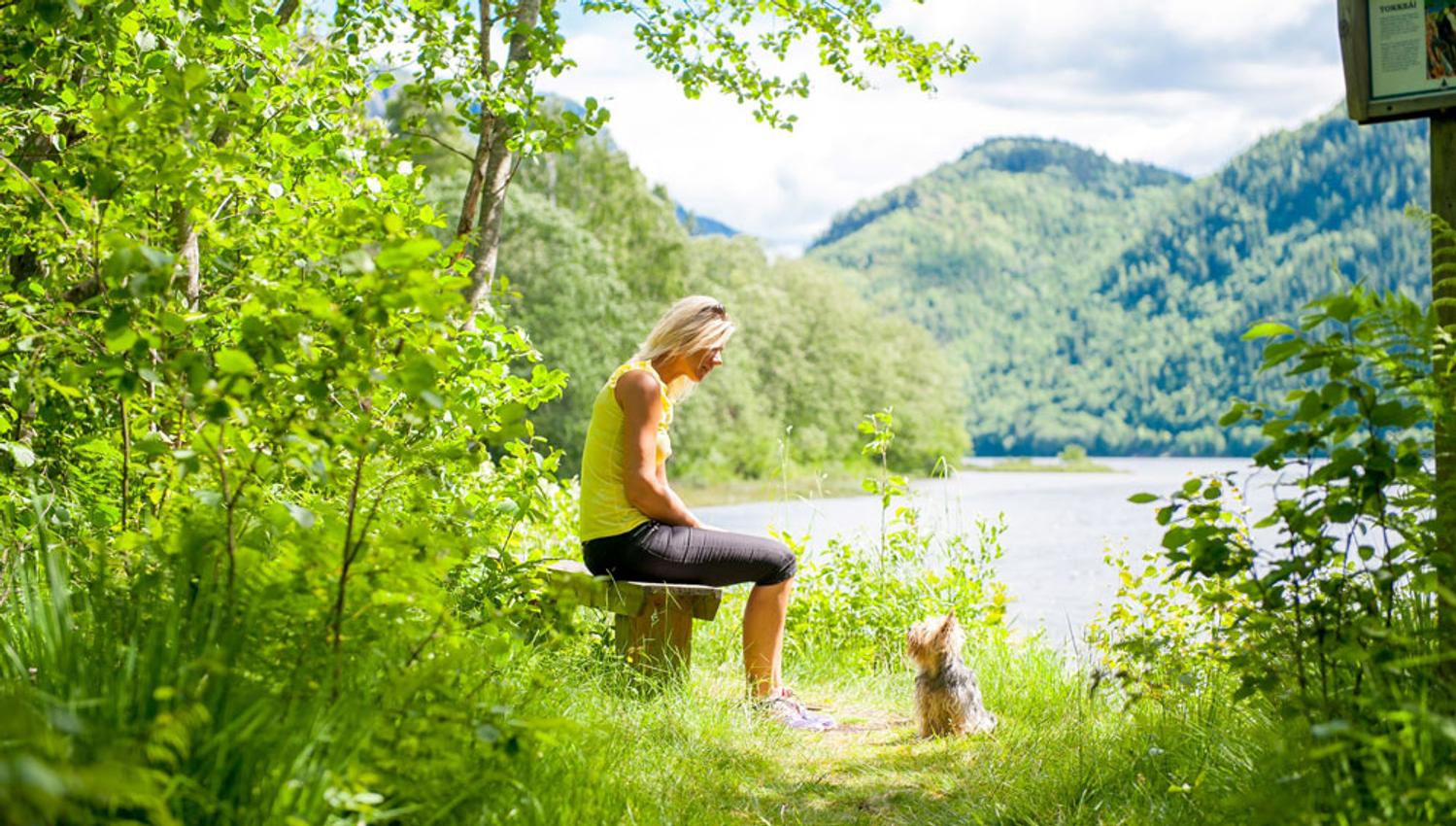 Lady sitting on a bench with a small dog in front of her