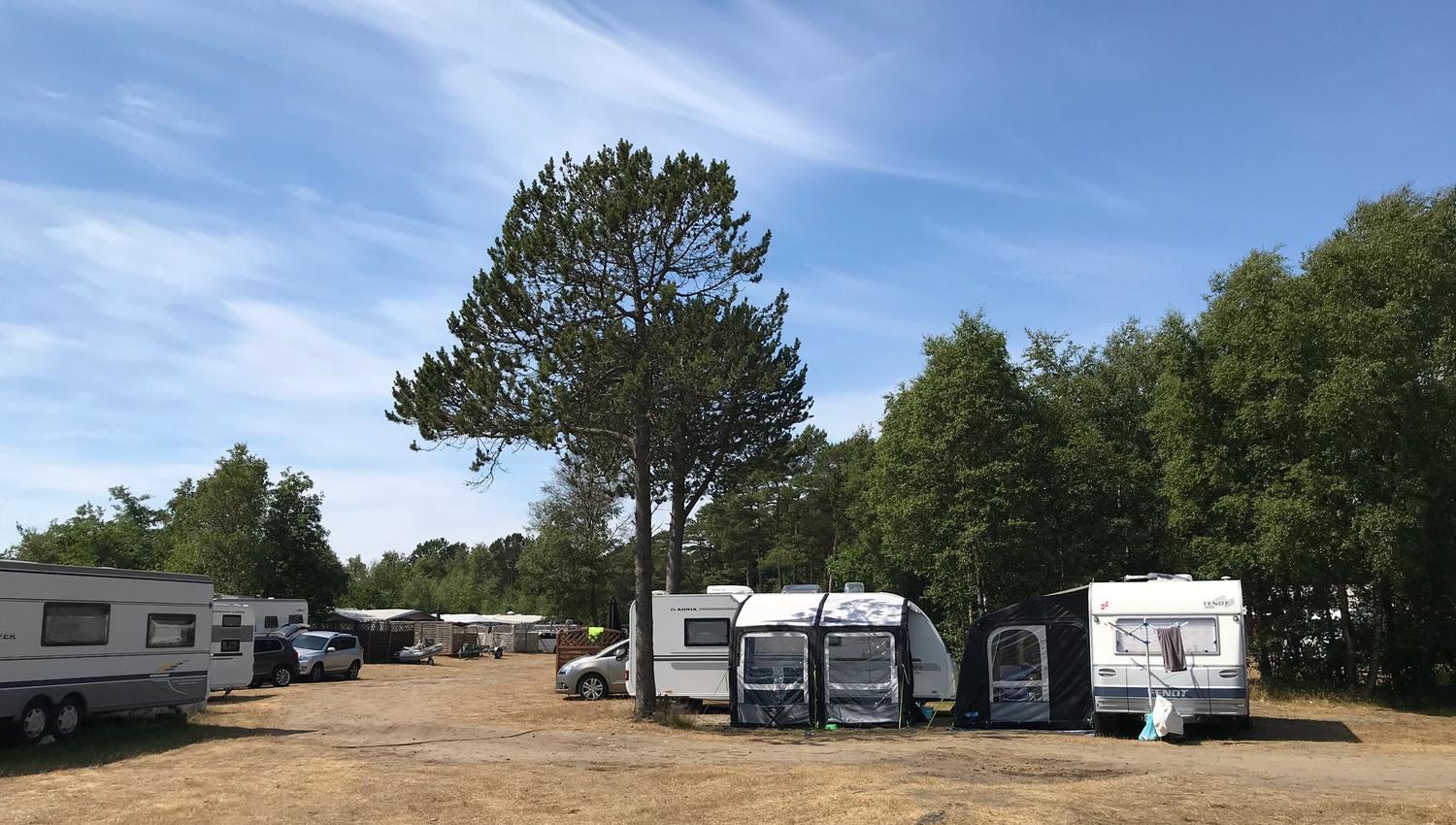 Lomsesanden-Camping-vogner