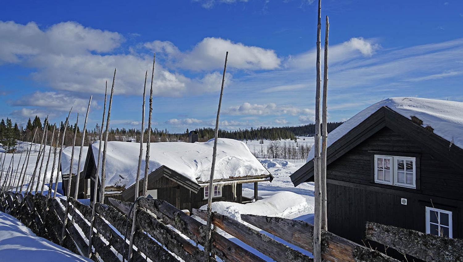 Gamlestølen cabins