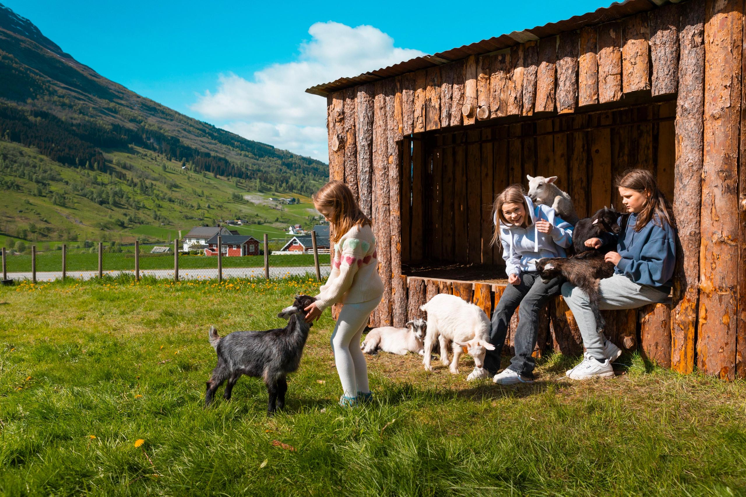 Three children interact with goats beside a rustic wooden shed in a sunny mountain meadow under a blue sky.