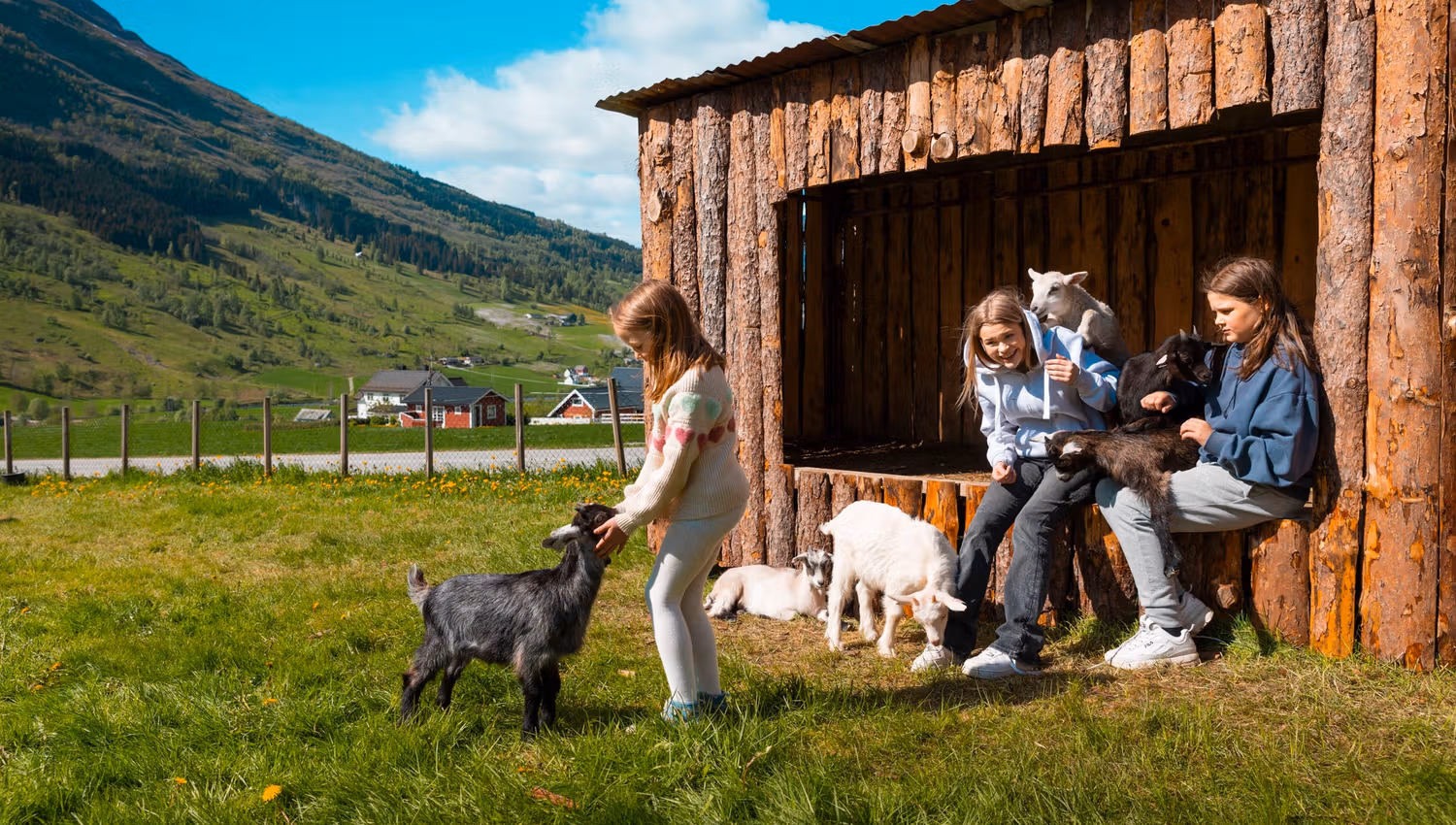 Three children interact with goats beside a rustic wooden shed in a sunny mountain meadow under a blue sky.
