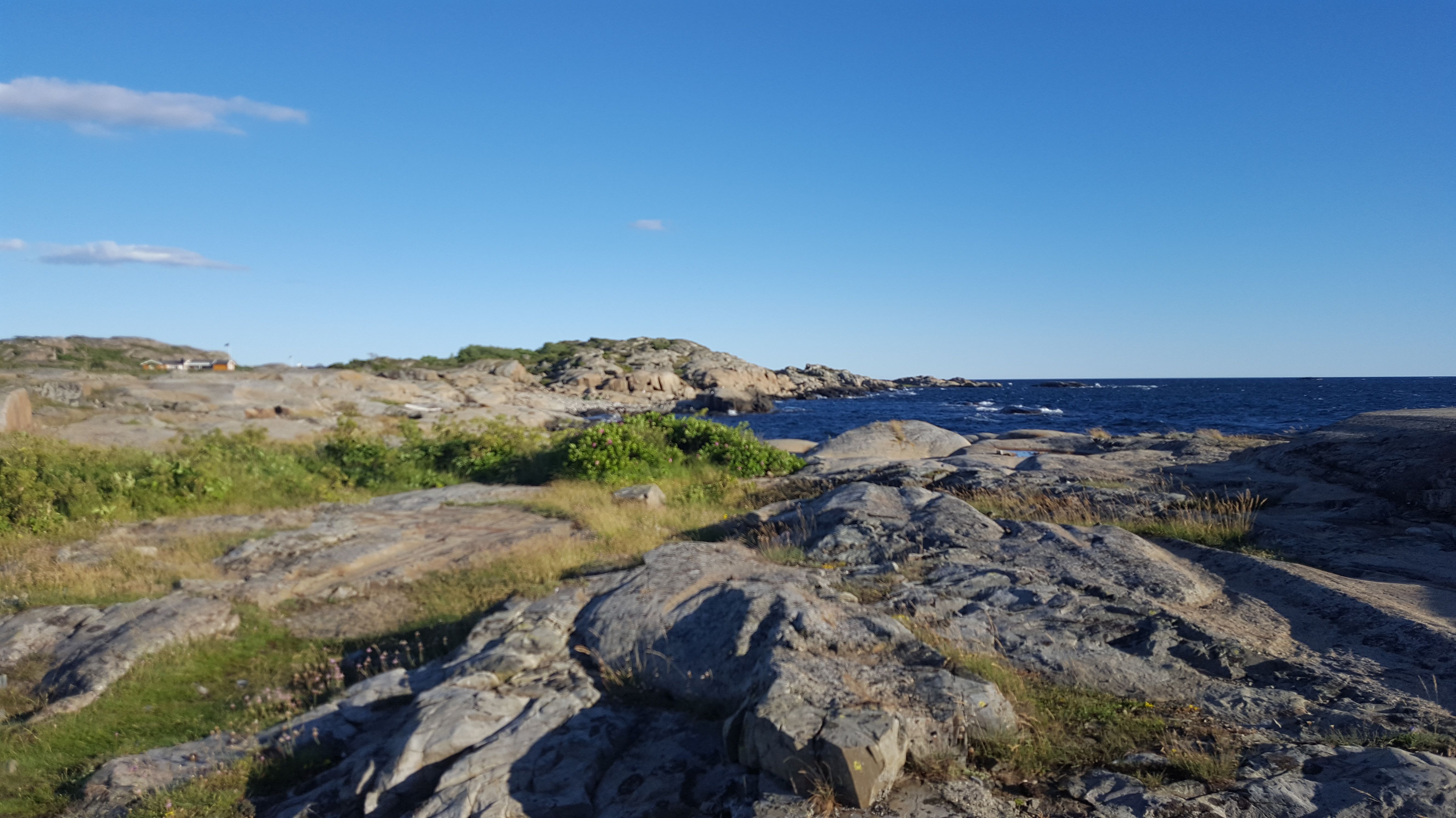 Moutmarka