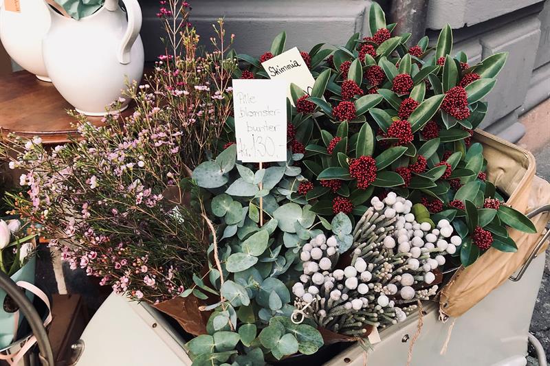 flowers for sale