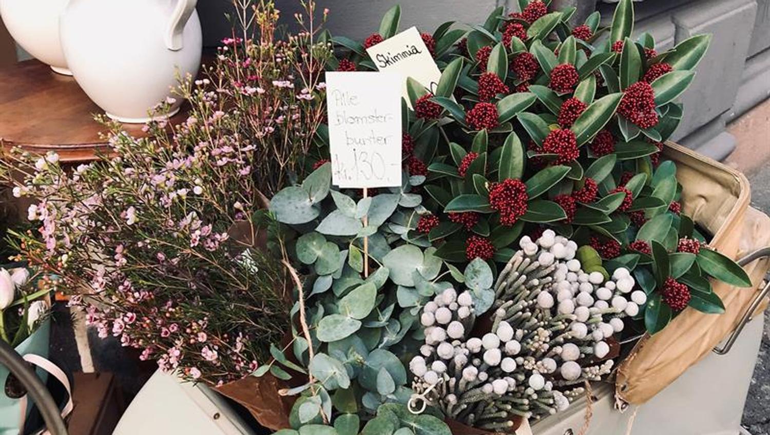 flowers for sale
