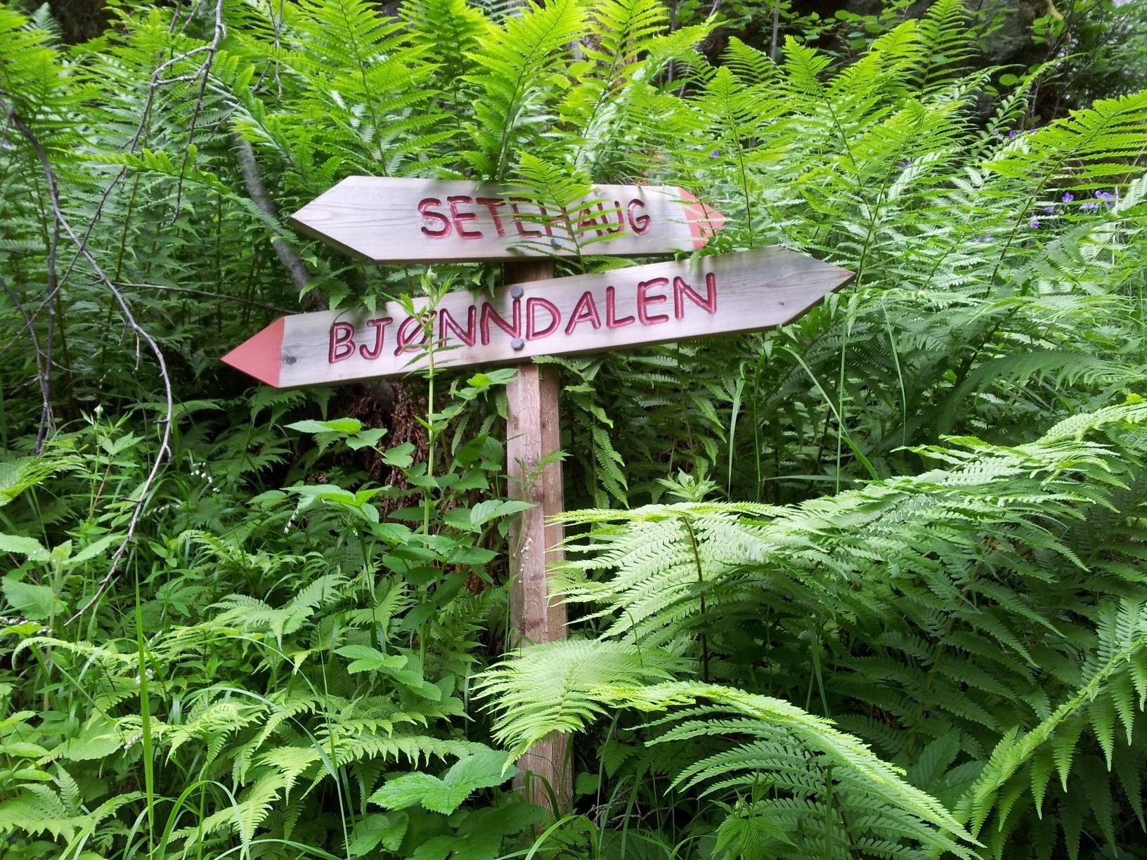 Utne-Setehaug-Fossdal-Demmena