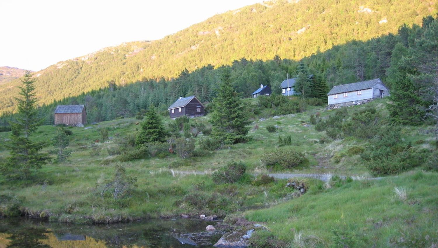Ved Vassenden