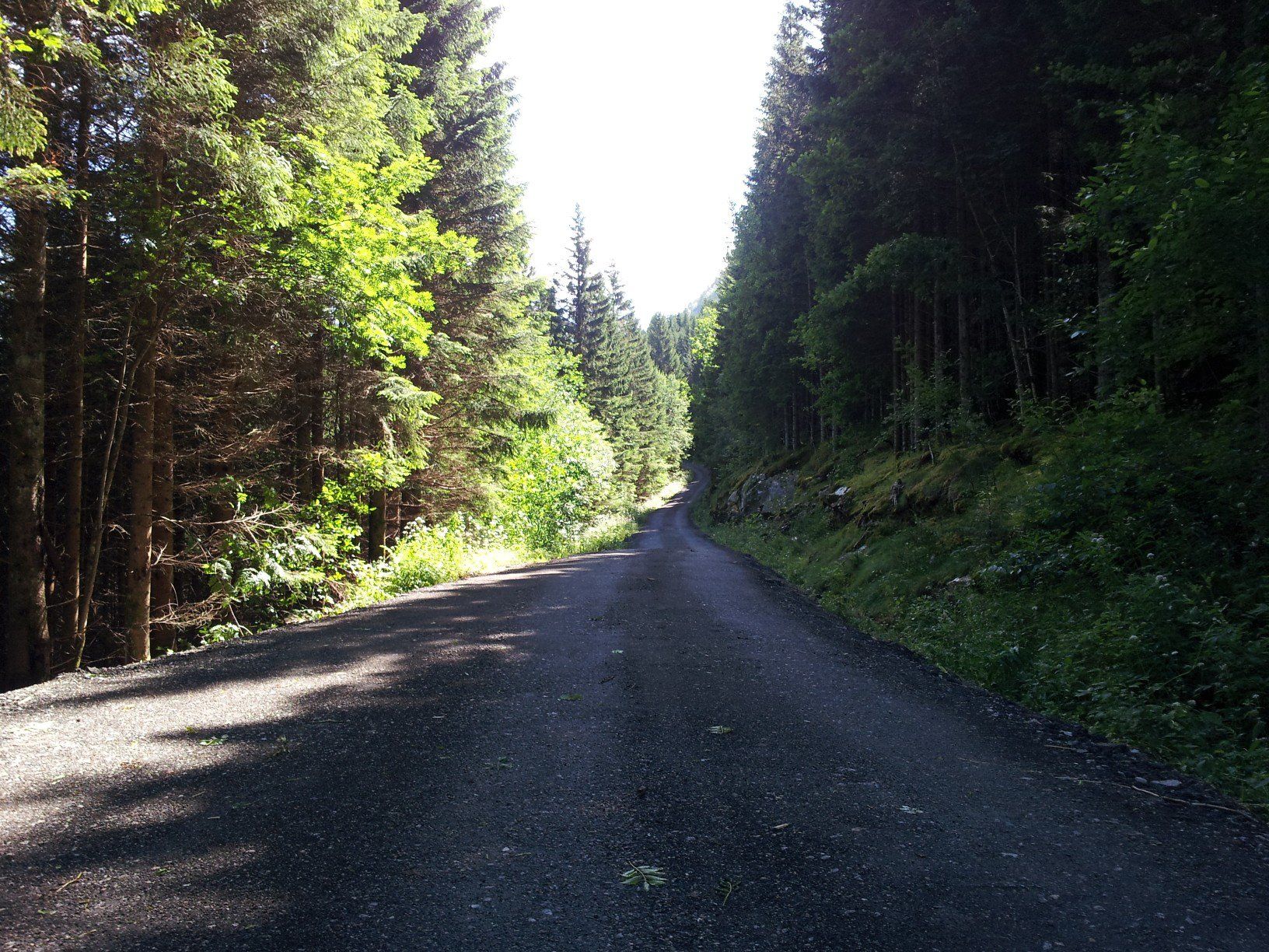 Utne