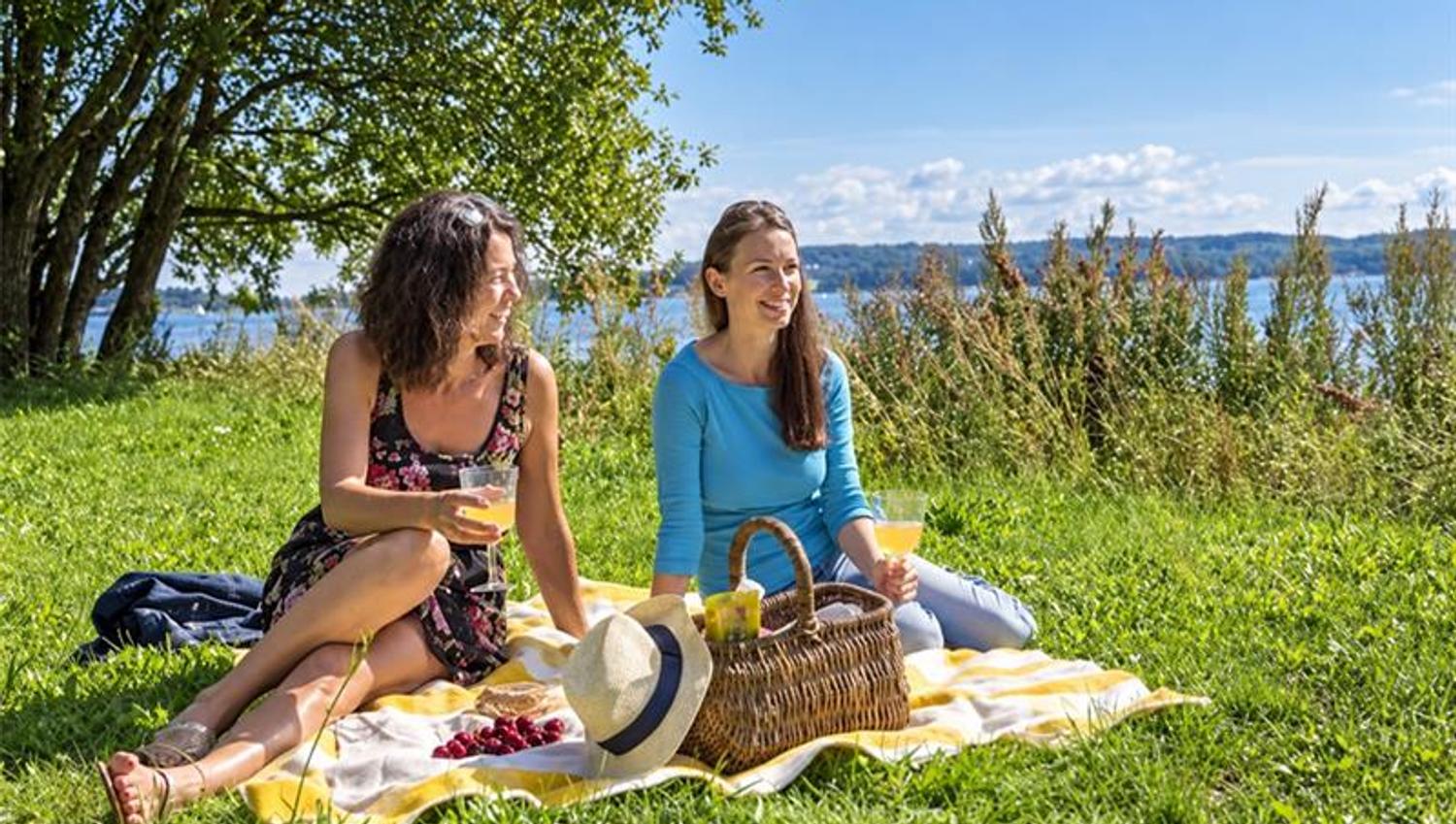 Two women sitting on a picnic blanket on the grass beside the Oslofjord, with a picnic basket and food in front of them.