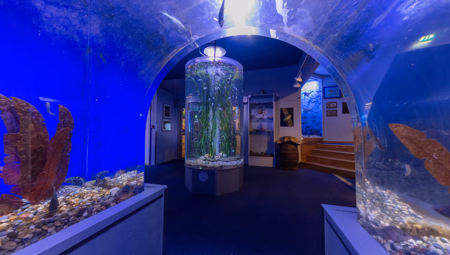 Drøbak Akvarium