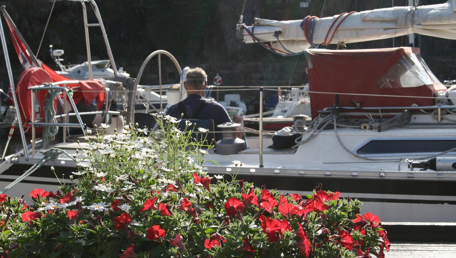 Båtlivet i Tvedestrand