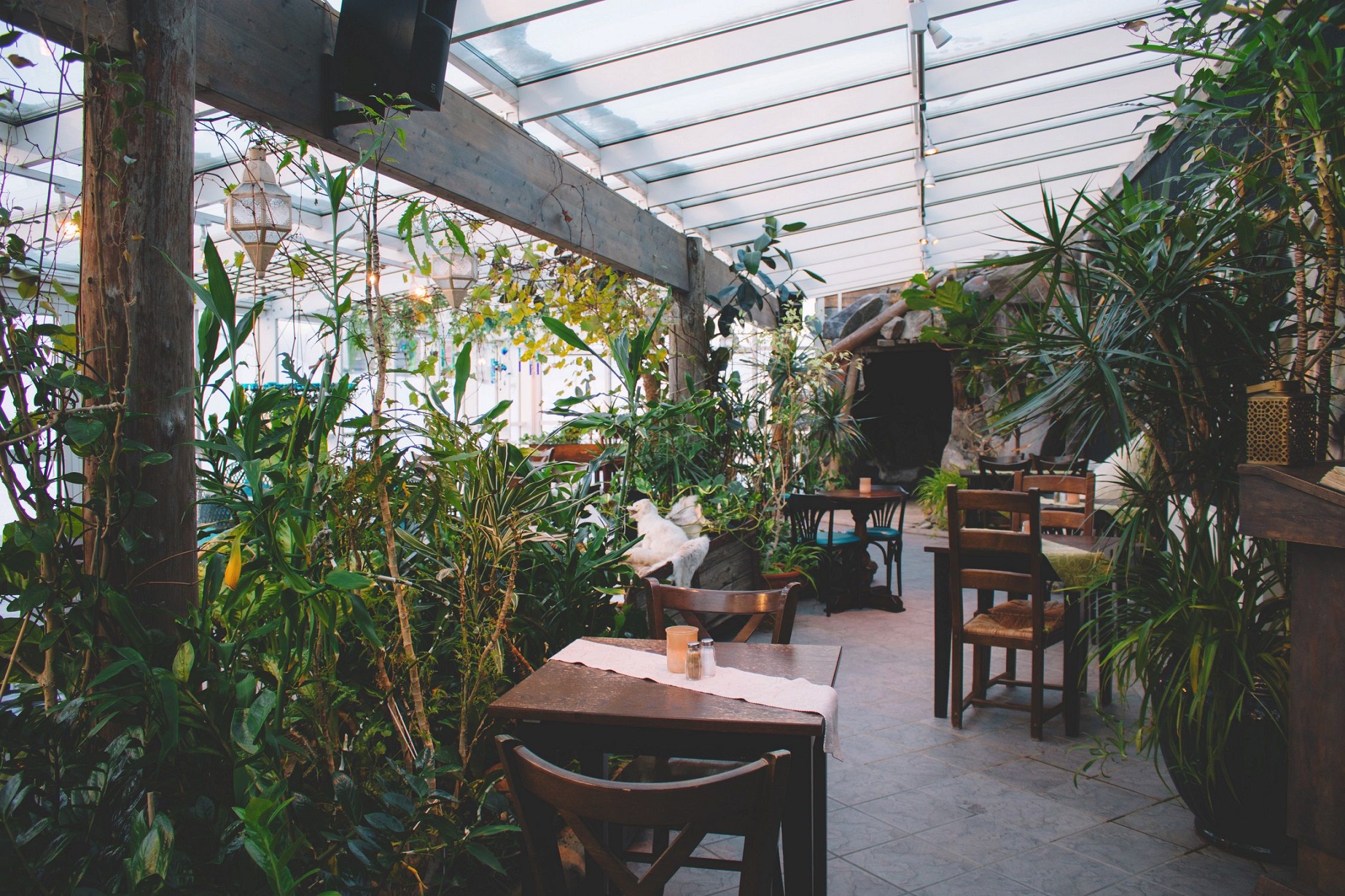 restaurant (3)