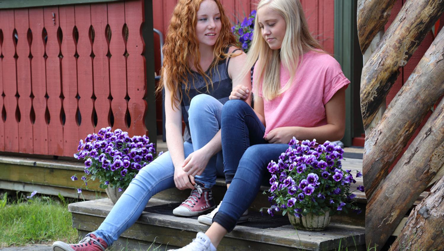 Stemningsbilde frå Folkestadbyen