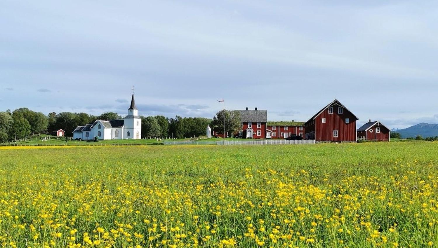 lanlig sommerbildet