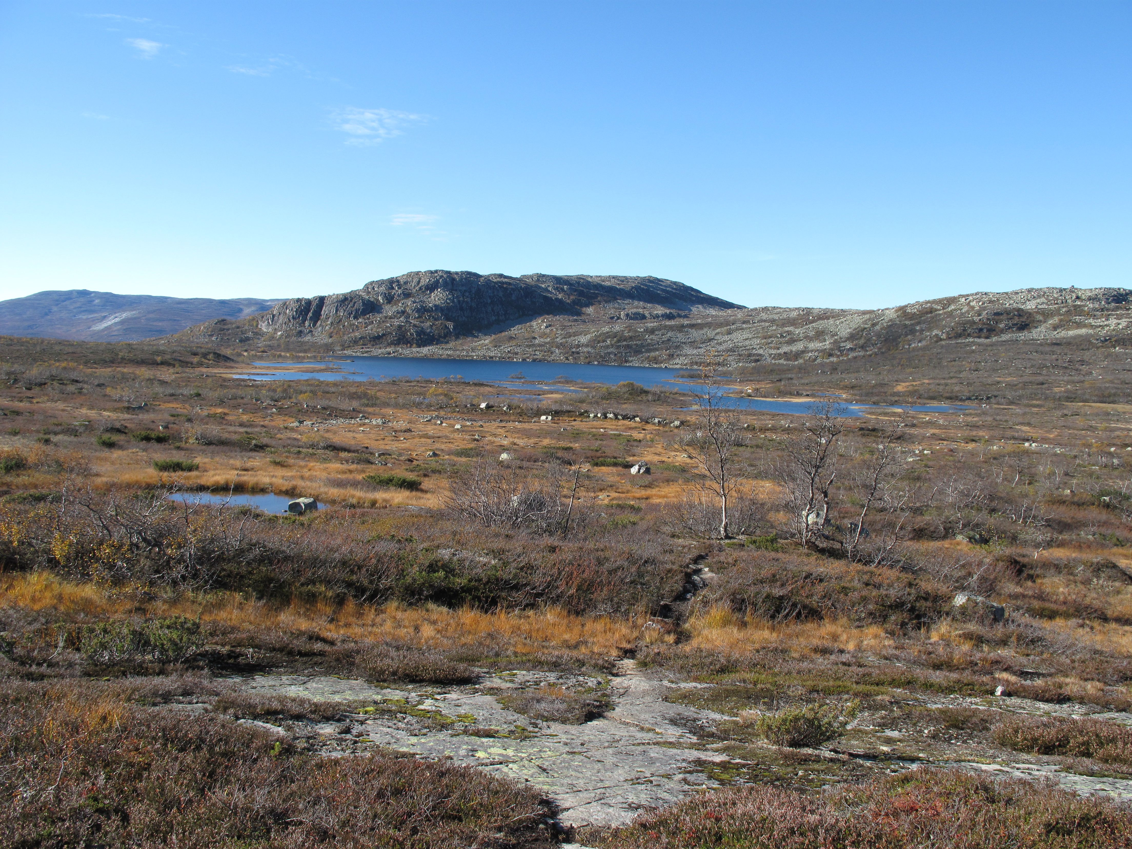 Hartevasstjønn i det fjerne