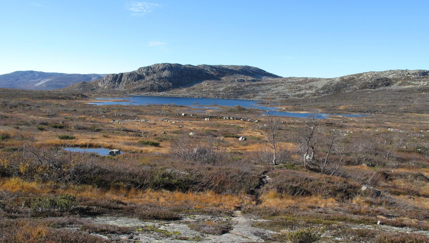 Hartevasstjønn i det fjerne