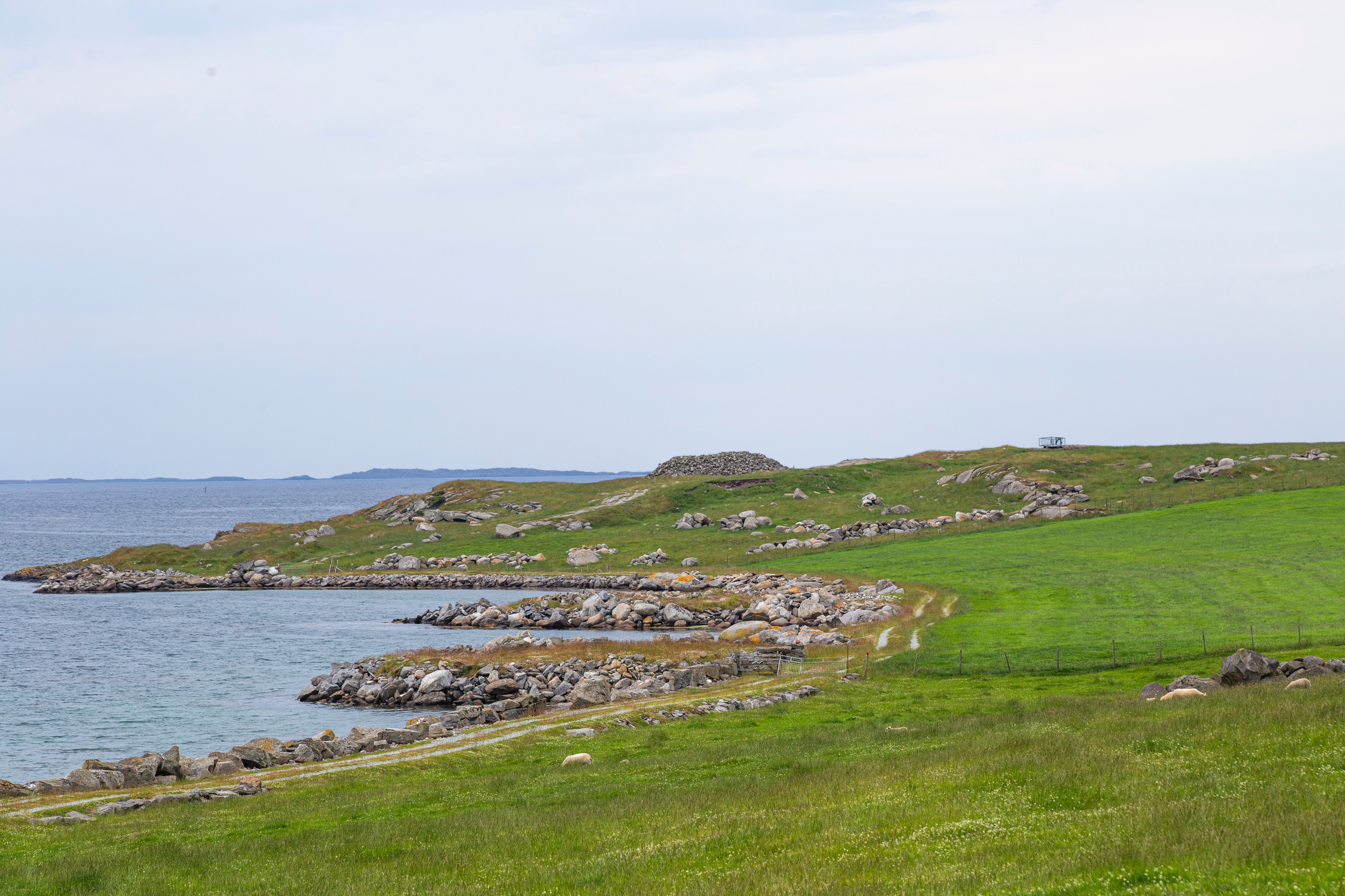 Green pastures with the ocean close by