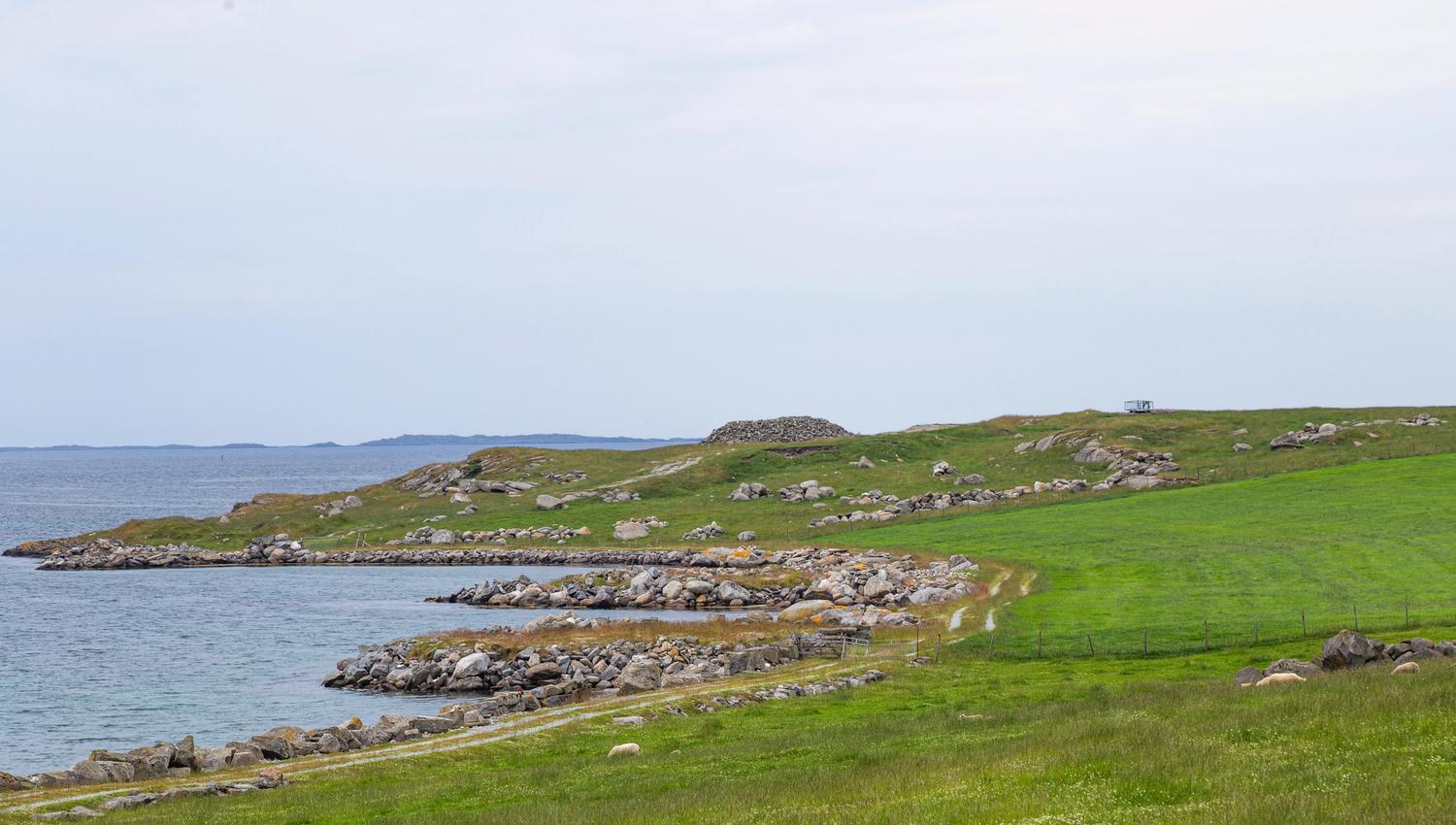 Green pastures with the ocean close by