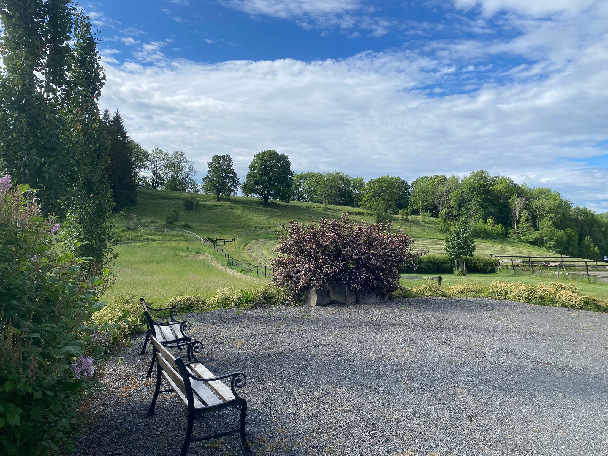 Grøntområde