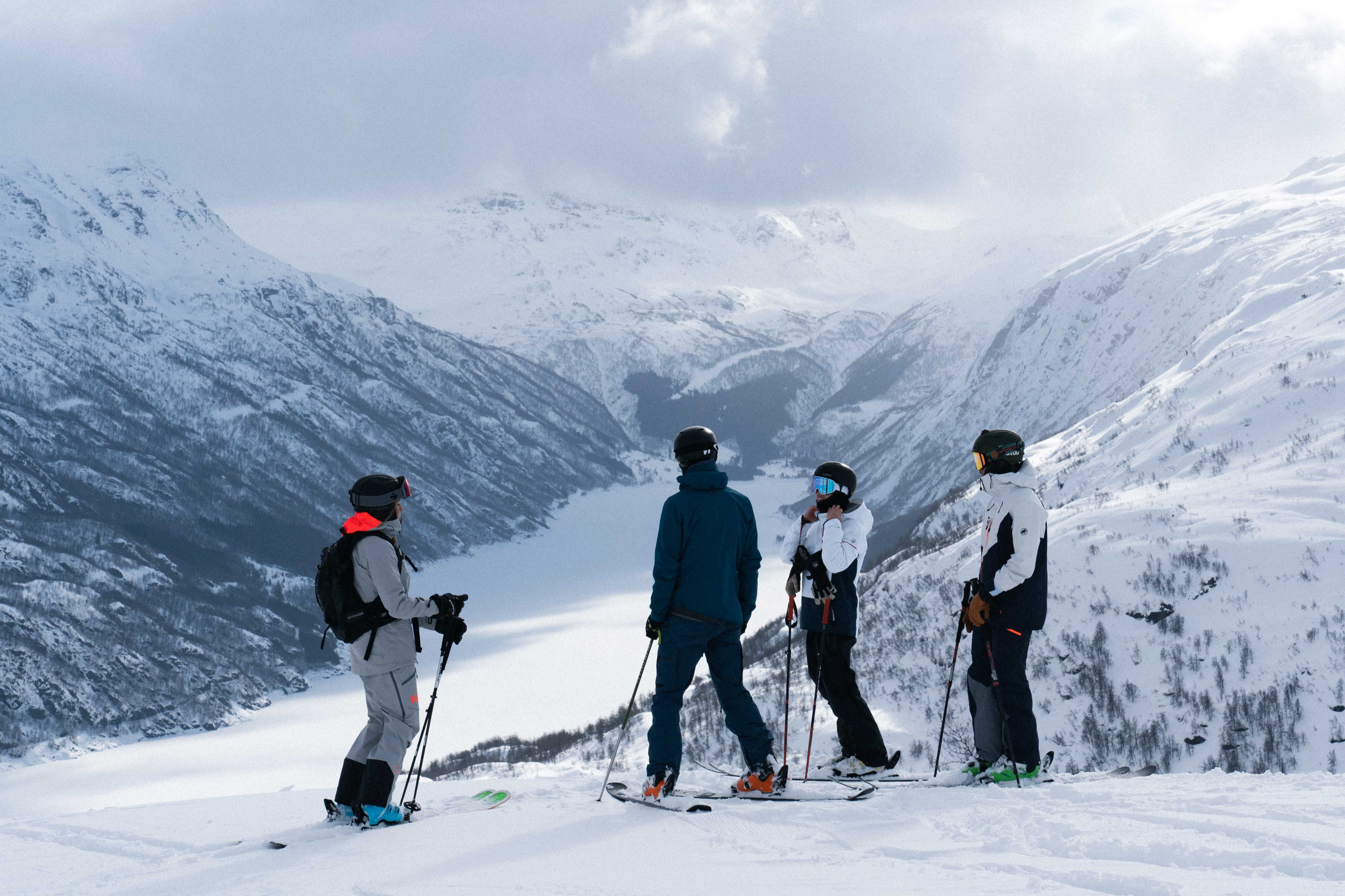 Four people skiing in a beautiful winter landscape. 