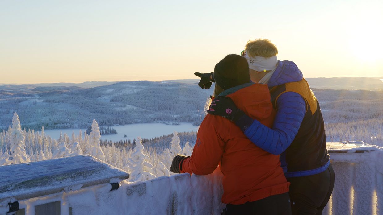 Lushaugtårnet Lygna Gran
