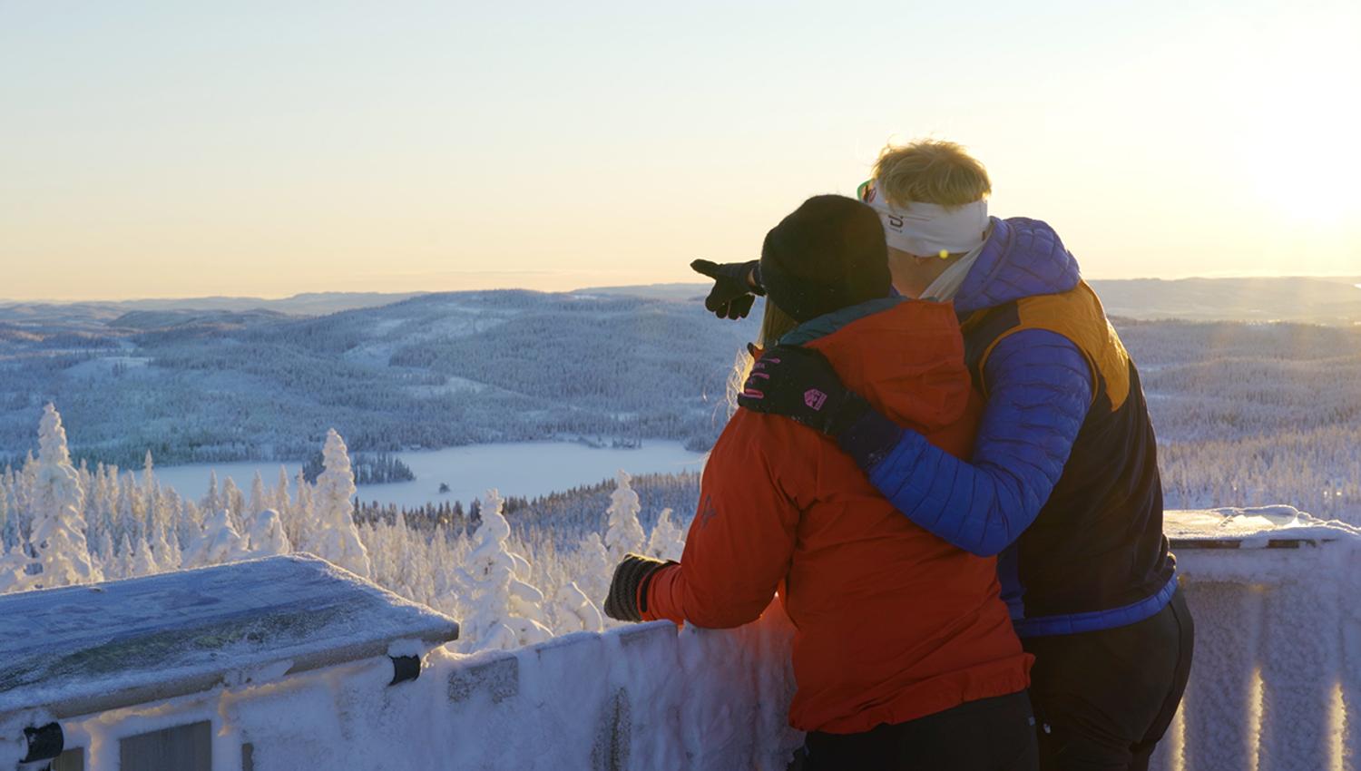Lushaugtårnet Lygna Gran