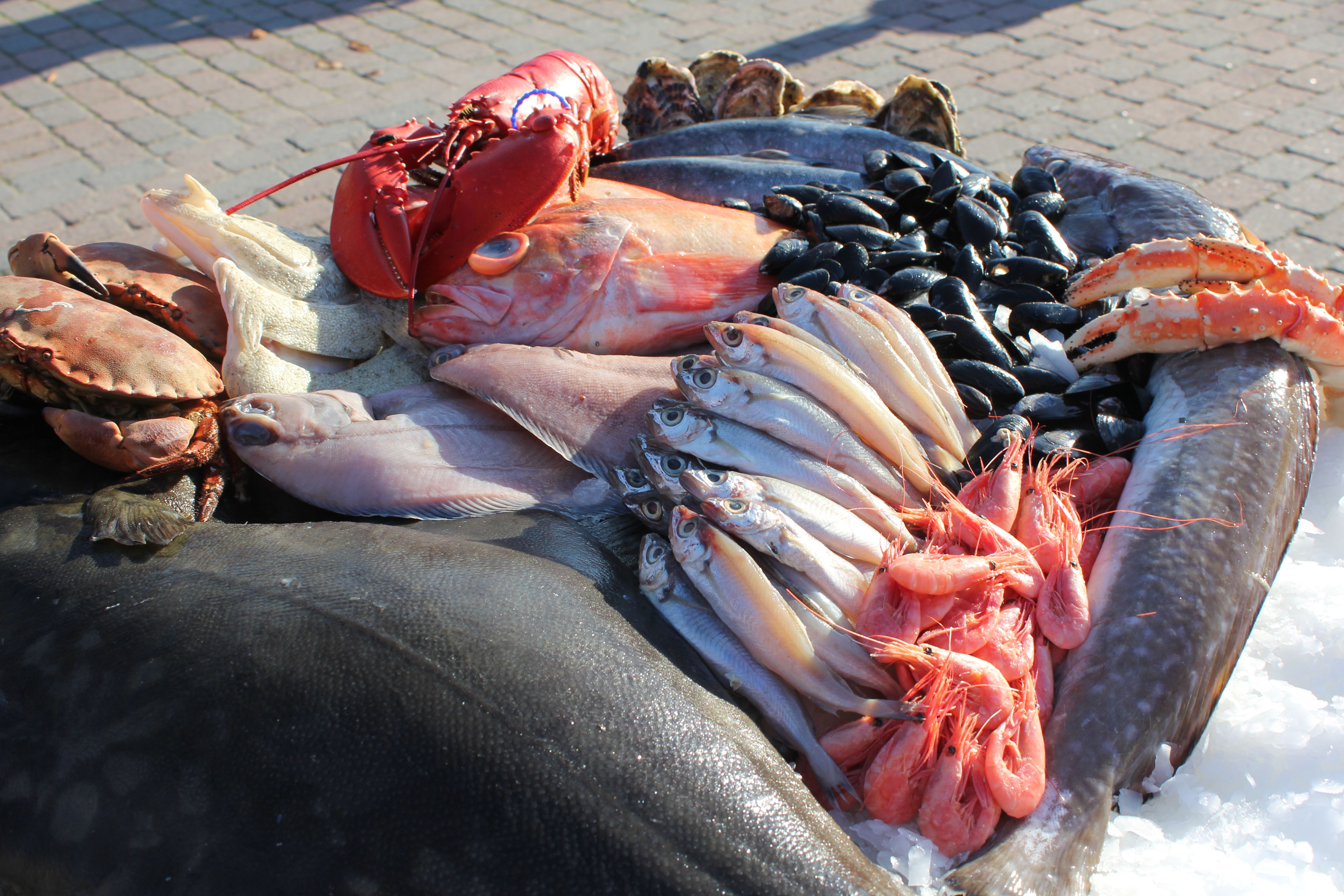 Fiskeeksperten Reinhartsen