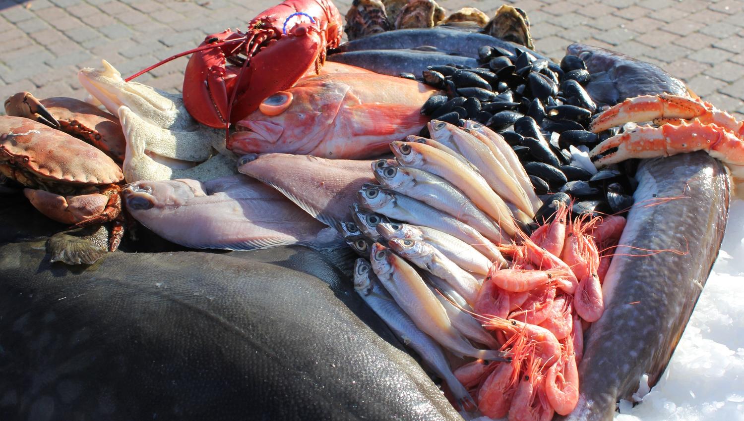 Fiskeeksperten Reinhartsen