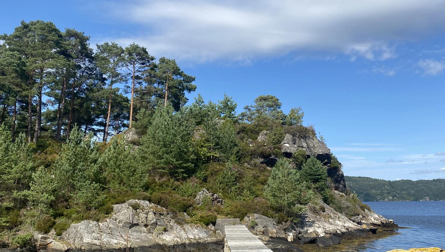 Furiholmen