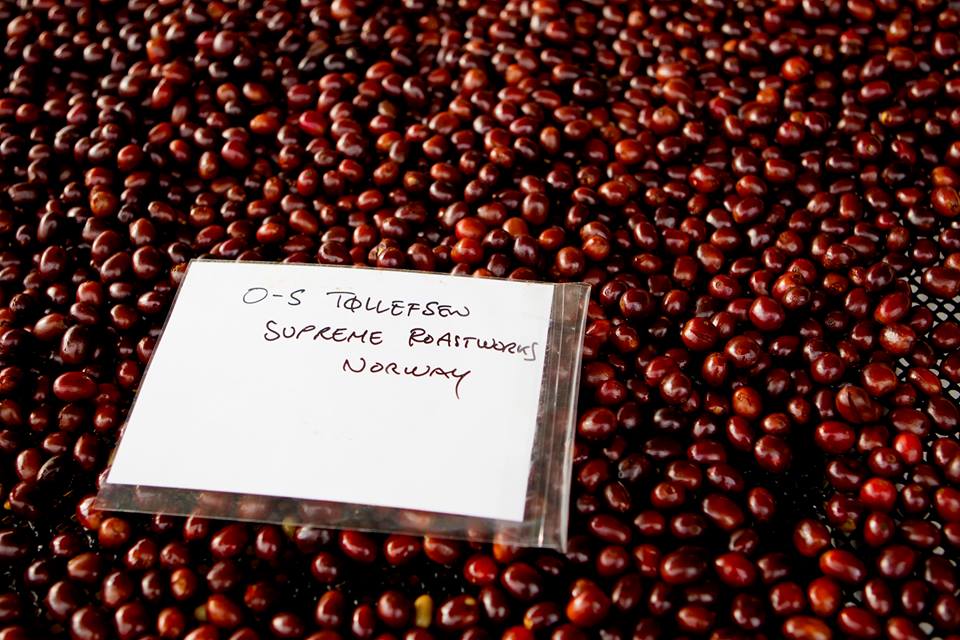 ubrente kaffebønner