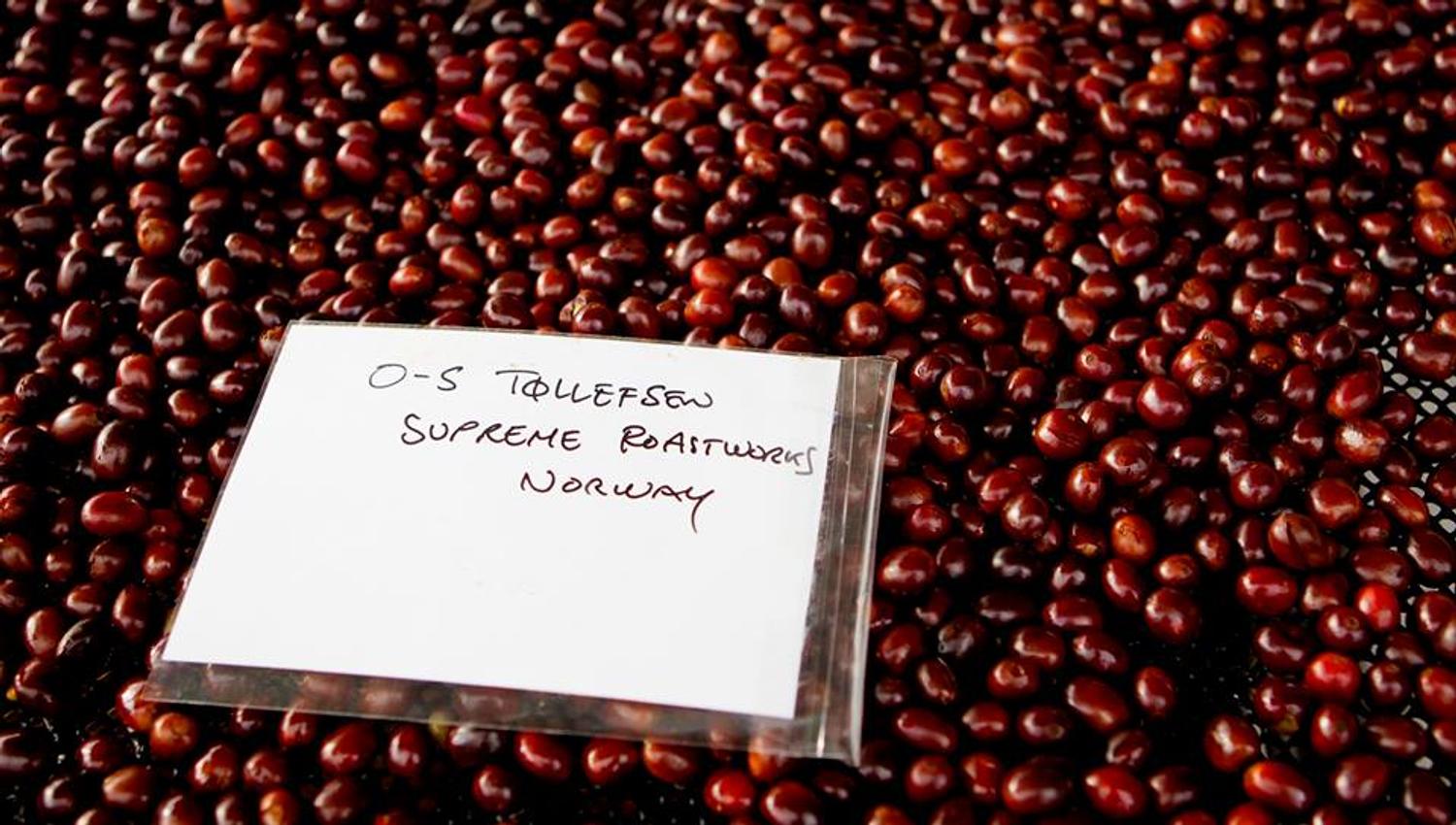 ubrente kaffebønner