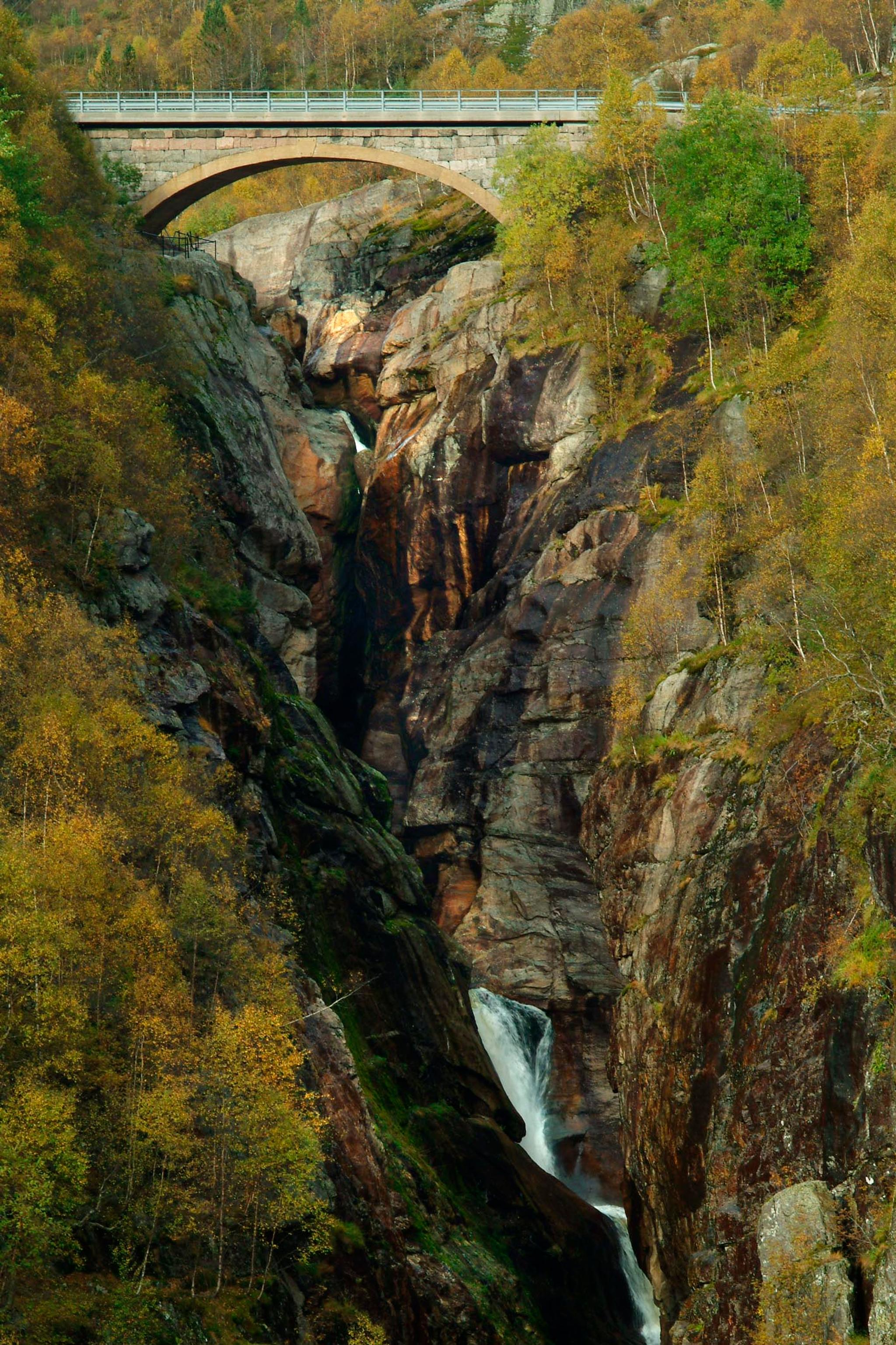 Dorgefoss
