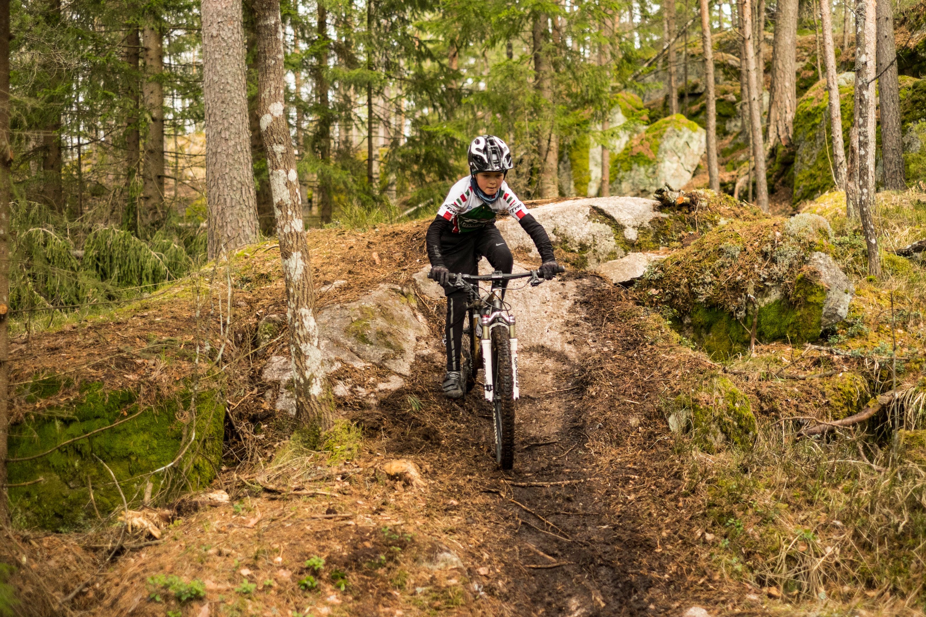 cyclist on a mountain bike in the forest