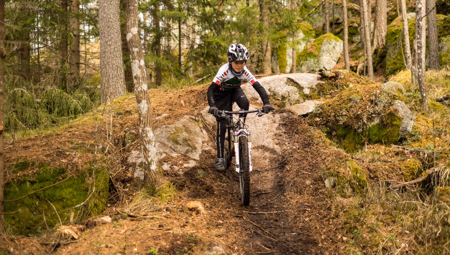 cyclist on a mountain bike in the forest