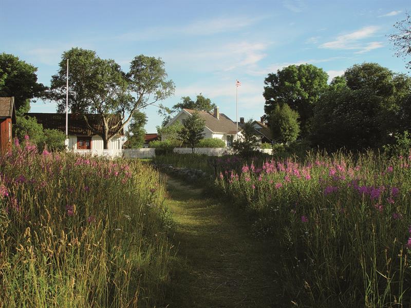 Sommer på Stråholmen