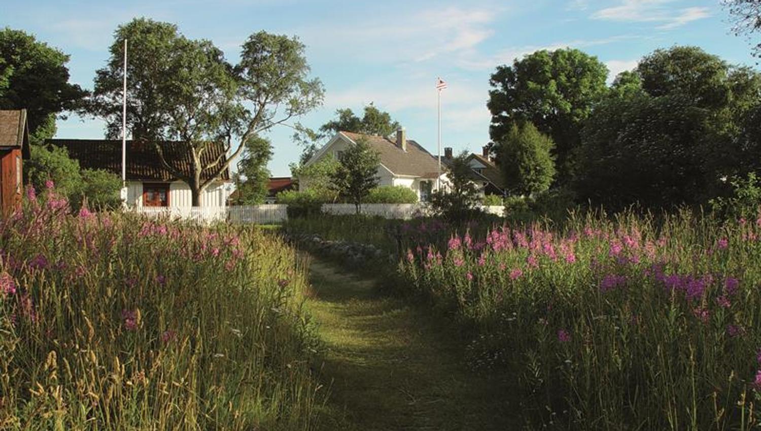 Sommer på Stråholmen