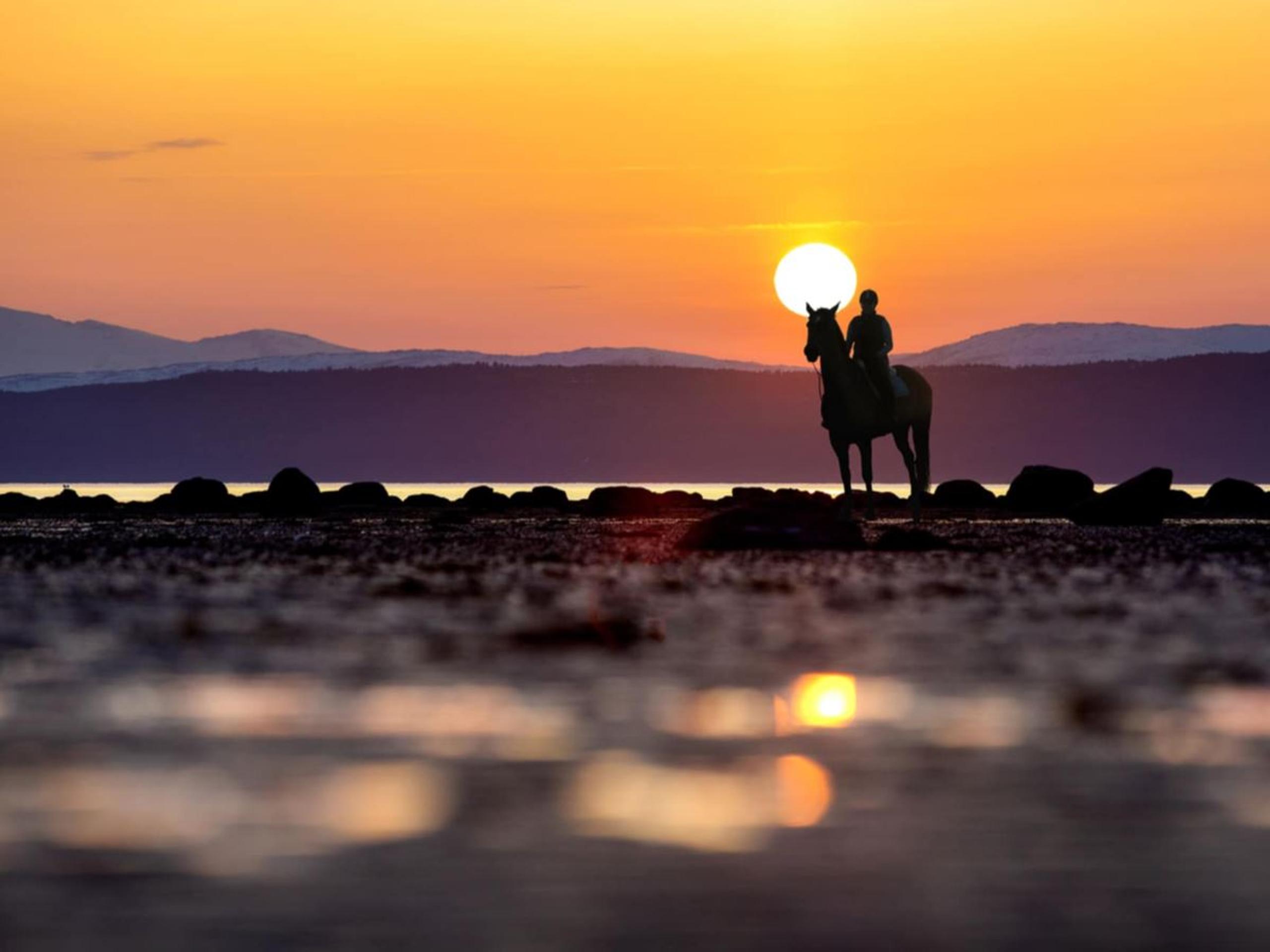 Silhouette of a rider on horseback on a rocky shore at sunset, with mountains and water in the distance.