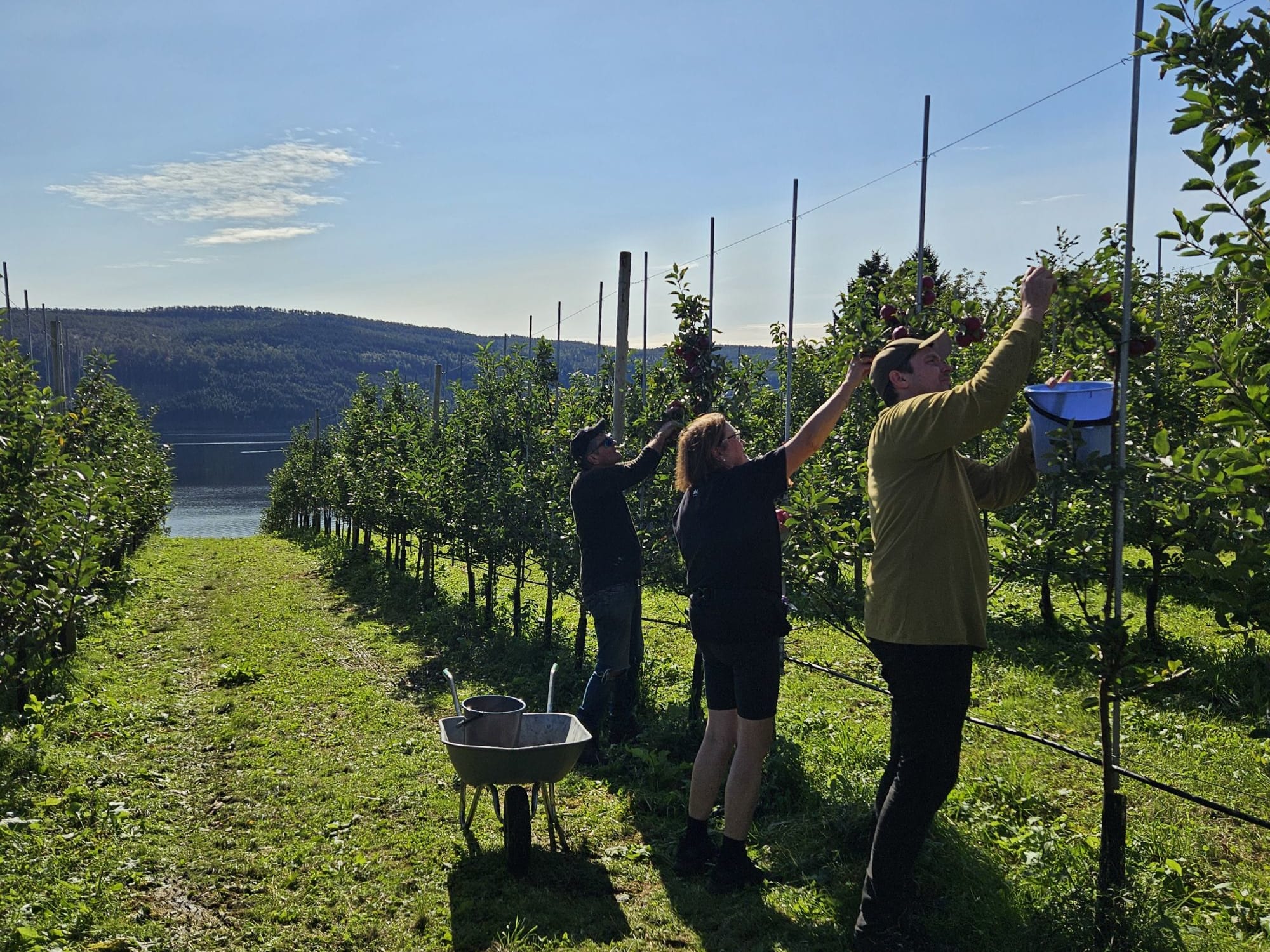 Reina Fruit farm