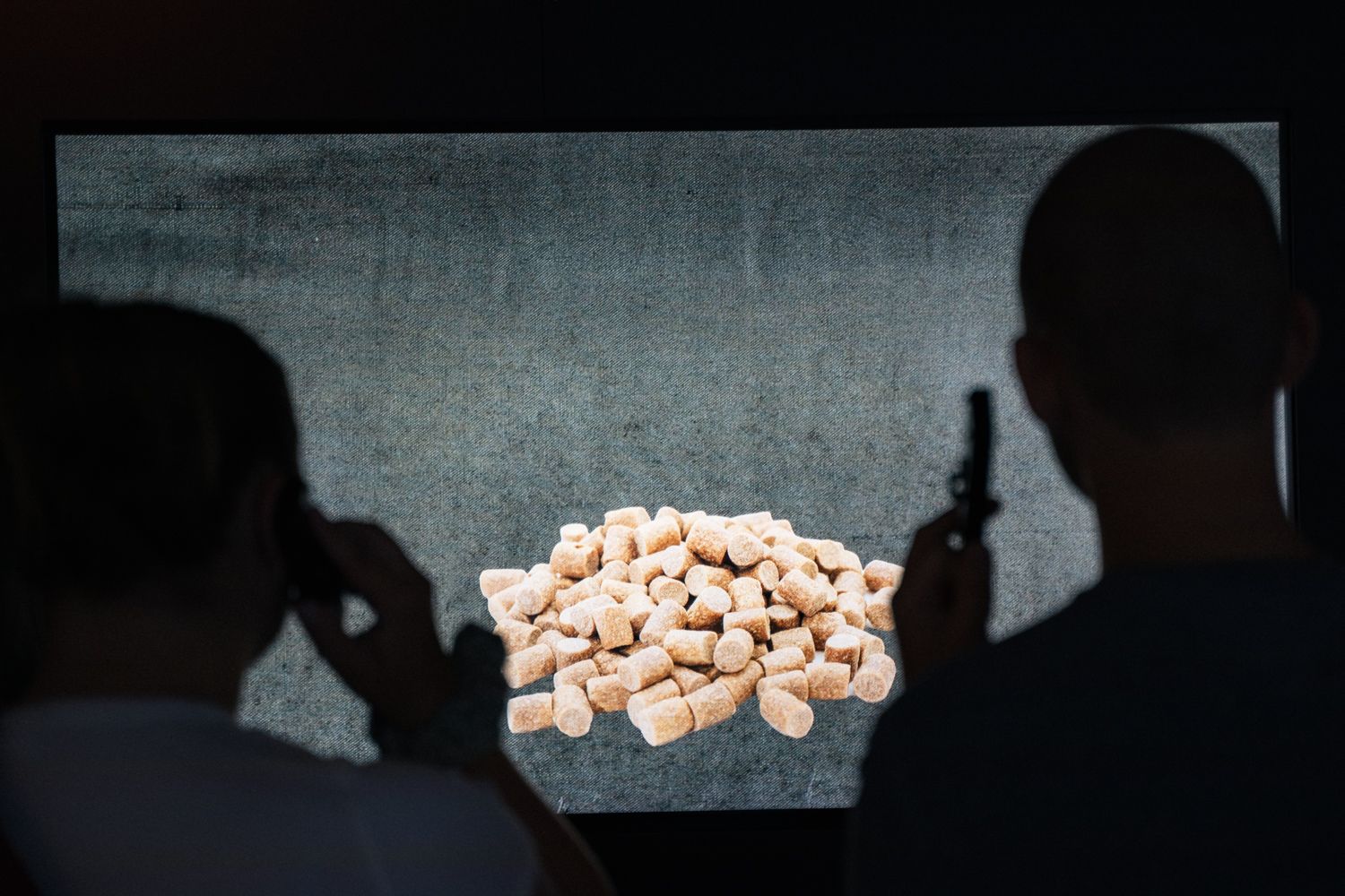 Visitors watching a close-up film of fish feed in the “This is where we live” exhibition at Hardanger Aquaculture Centre.